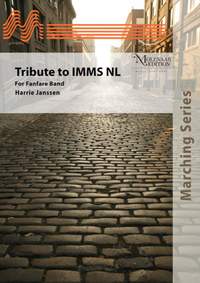 Harrie Janssen: Tribute to IMMS NL