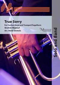 Ibrahim Maalouf: True Sorry