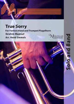 Ibrahim Maalouf: True Sorry