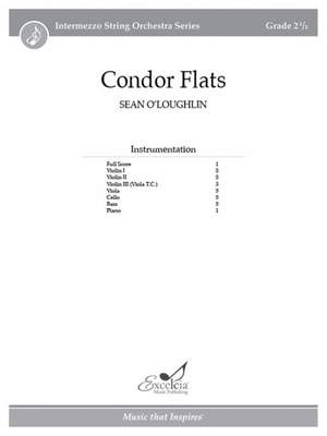 O'Loughlin, S: Condor Flats