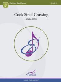 Estes, L: Cook Strait Crossing
