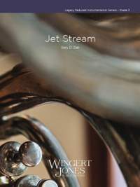 Ziek, G: Jet Stream