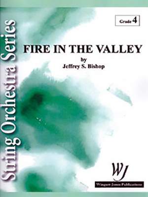 Bishop, J S: Fire in the Valley
