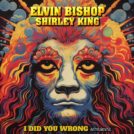 I Did You Wrong (Instrumental)