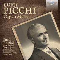 Picchi: Organ Music