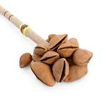 Percussion Plus Honestly Made cha cha on a stick Product Image