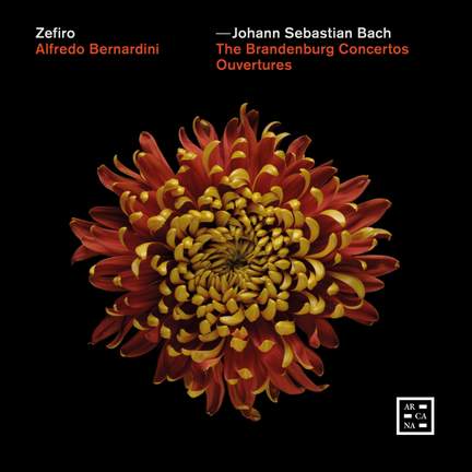 Bach: The Brandenburg Concertos & Ouvertures