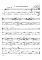 Robert Schumann: Dichterliebe, Op. 48, für Viola und Klavier Product Image