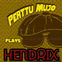 PERTTU MUJO Plays Hendrix