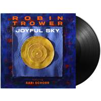 Joyful Sky
