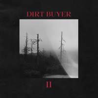 Dirt Buyer Ii