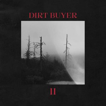 Dirt Buyer Ii