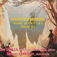 Johannes Brahms - Sonates et Trio