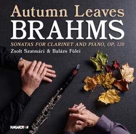 Autumn Leaves