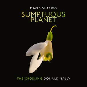 David Shapiro: Sumptuous Planet