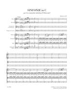Haydn, Joseph: Symphony No.60 in C major (Il Distratto) (Hob.I:60) Product Image