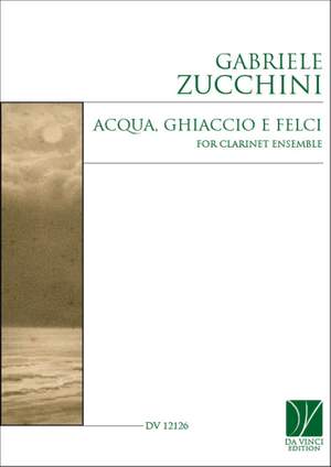 Gabriele Zucchini: Acqua