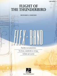 Richard L. Saucedo: Flight of the Thunderbird