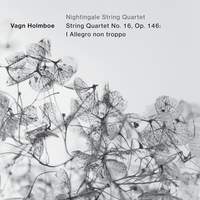 String Quartet No. 16, Op. 146: I. Allegro non troppo