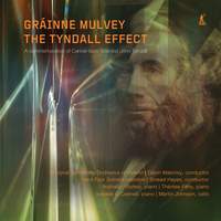 Gráinne Mulvey: The Tyndall Effect
