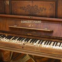 Concert Piano vol. 6