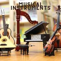 Musical instruments vol.1