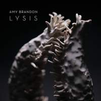 Amy Brandon: Lysis