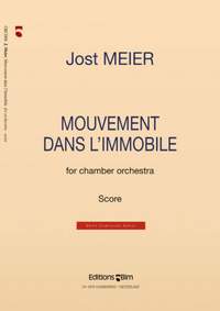 Jost Meier: Mouvement dans l'immobile