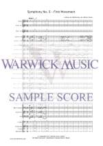 Beethoven: Symphony No. 5 First Movement Product Image