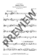 Ellin, Benjamin : Blakey Point Product Image