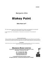 Ellin, Benjamin : Blakey Point Product Image