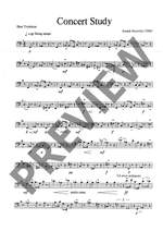Horovitz, Joseph: Concert Study Product Image