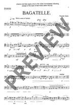 Salter, Timothy: Bagatelle Product Image
