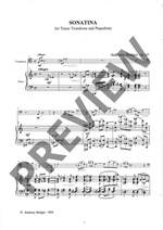 Hedges, Anthony: Sonatina Product Image