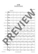 Verhelst, Steven: 6.35 Product Image