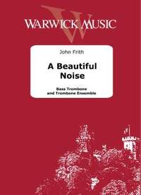 A Beautiful Noise