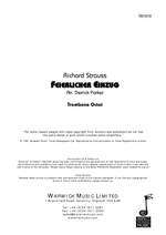 Strauss, Richard: Feierlicher Einzug Product Image