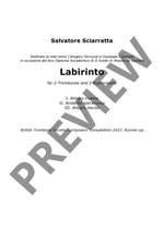 Sciarratta, Salvatore : Labirinto Product Image