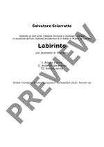 Sciarratta, Salvatore : Labirinto Product Image