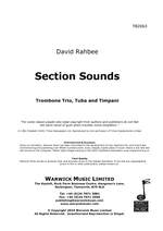 David Rahbee: Section Sounds Product Image