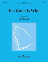 Billy Brandt: The Water Is Wide