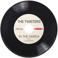 THE TWISTERS – In The Harem