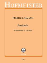Moritz Laßmann: Paraeidolie