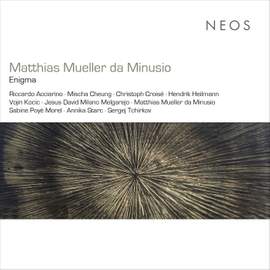 Matthias Mueller da Minusio: Enigma
