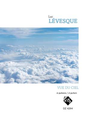 Luc Lévesque: Vue du ciel