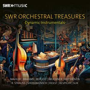 SWR Orchestral Treasures - Dynamic Instrumentals