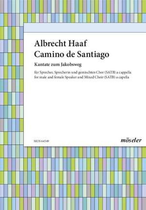 Haaf, Albrecht: Camino de Santiago