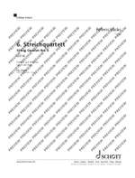 Vasks, Pēteris: String Quartet No. 6 Product Image