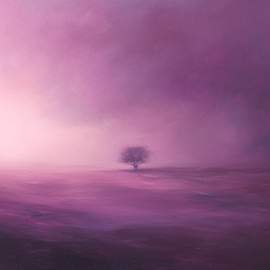 Lucid