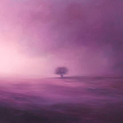 Lucid